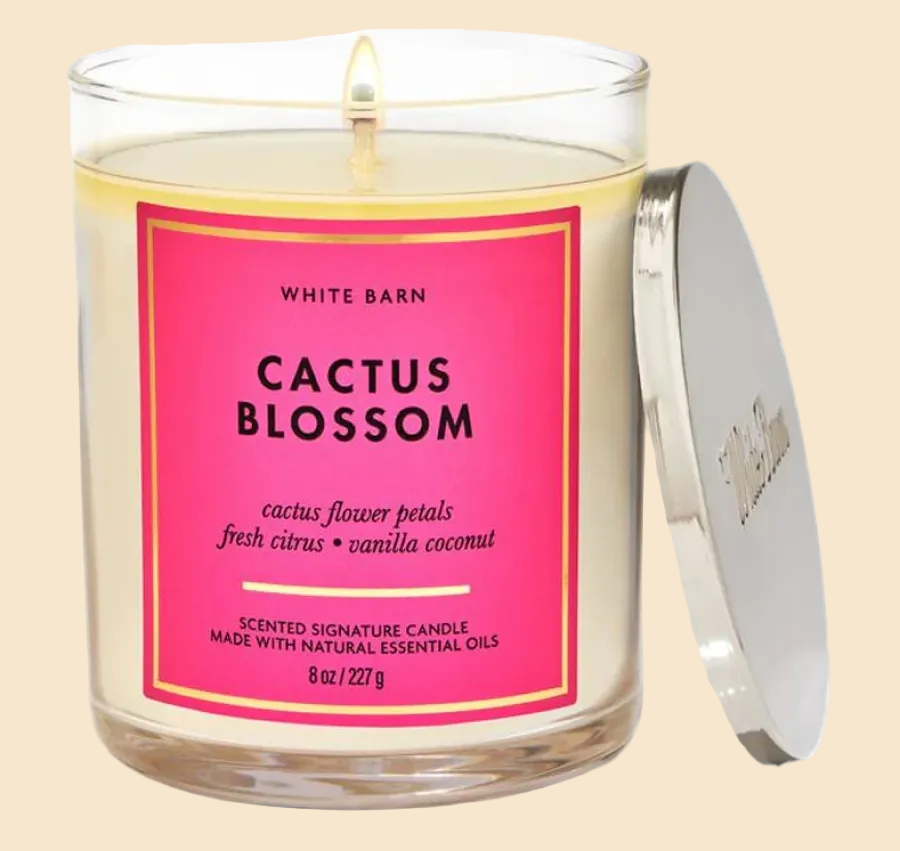 Cactus Blossom - Bougie Parfumée